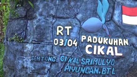 VIDEO : Pedukuhan Cikal